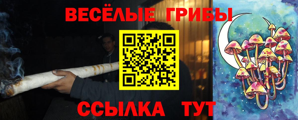 Чусовой  где купить наркоту  Вход с VPN  Галлюциногенные грибы мухоморы 